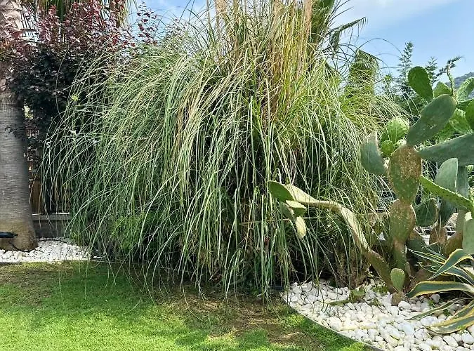 Falcon With Swimming Pool And Great Views In Yalikavak Vila *