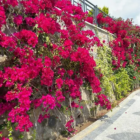 Falcon With Swimming Pool And Great Views In Yalikavak *